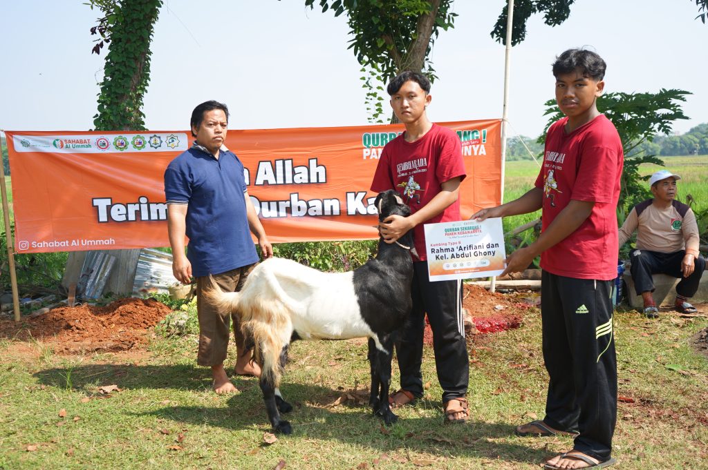 Panen Berqurban Bersama Sahabat Al Ummah