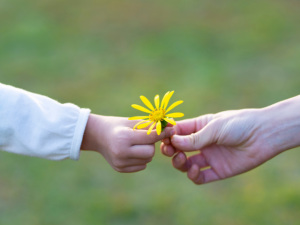 Read more about the article Kesalahan Pola Asuh yang Tanpa Disadari Menjauhkan Anak dari Nilai Islam